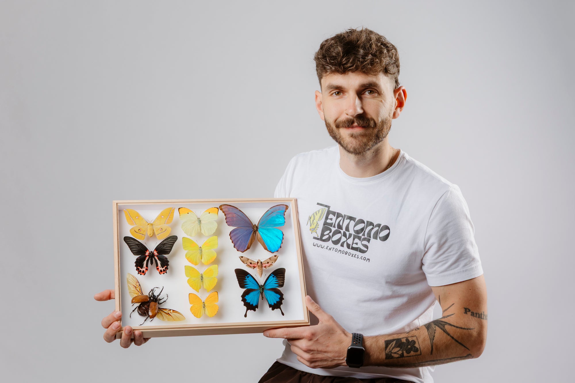Chris holding a shadow frame with a pinned butterfly collection featuring Blue Morpho and red and yellow specimens