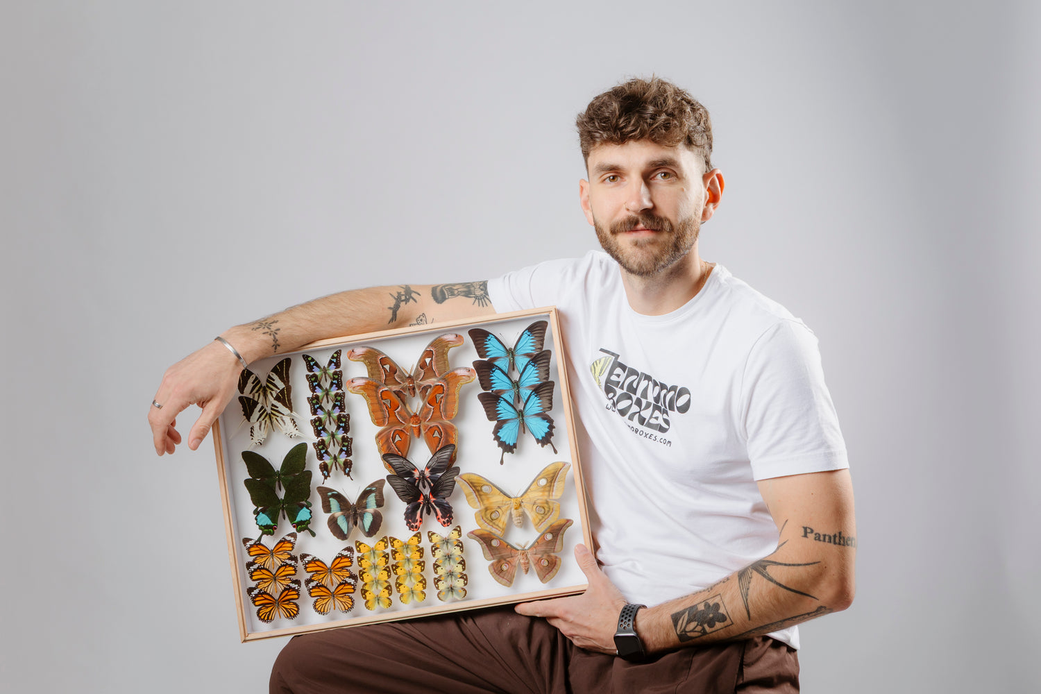 Chris from EntomoBoxes holding a shadow frame display with pinned exotic butterfly collection including Blue Morpho