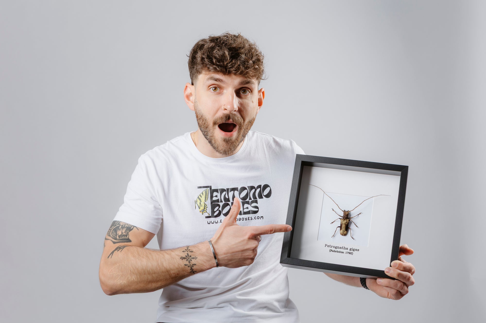 Chris pointing at a framed longhorn beetle specimen in a black shadow box display