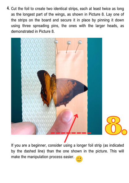 Guía de montaje para mariposas (PDF)