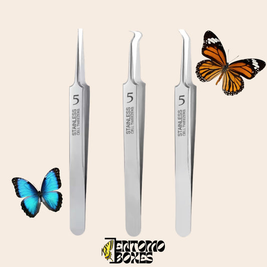 fine tip entomology tweezers