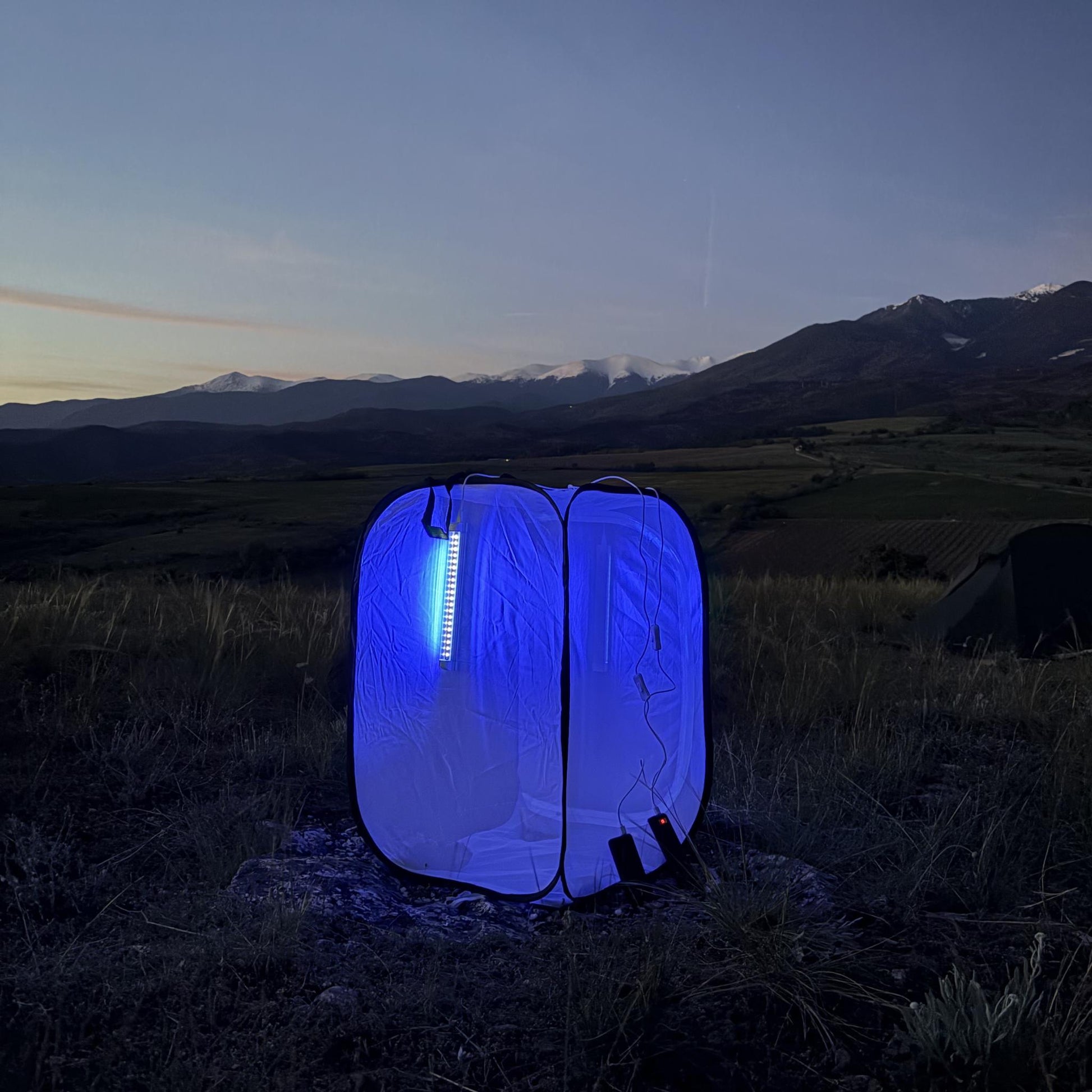 led light para attracking polillas y insectos during the night