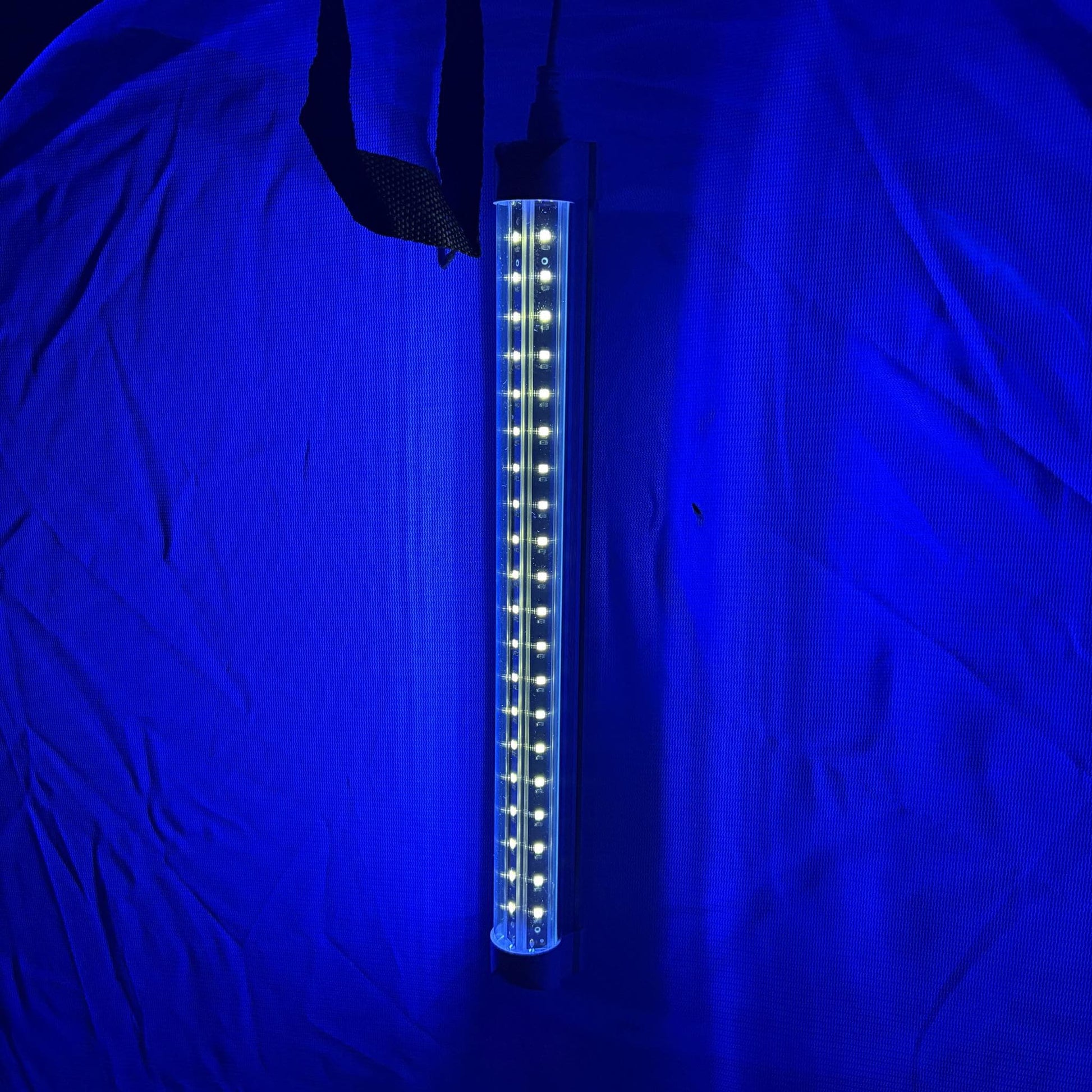 led light para attracking polillas y insectos during the night