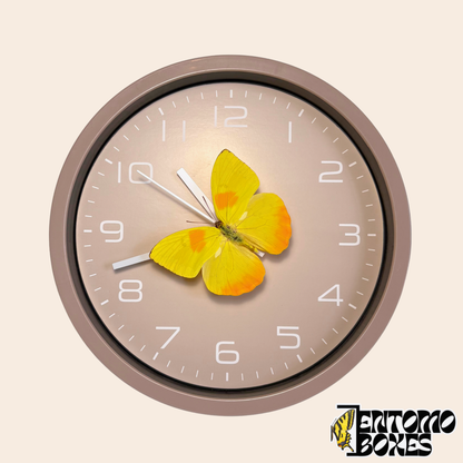 Reloj de pared gris topo con una mariposa amarilla real (Phoebis philea) sobre el segundero, vista frontal