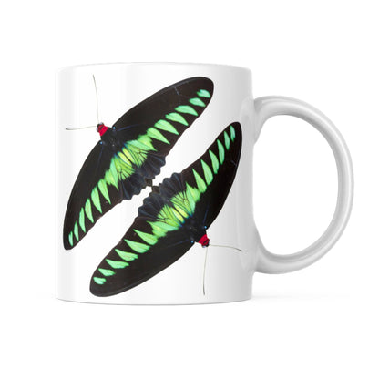 EntomoBoxes mariposa-themed taza de cerámica, regalo ideal para entomología y nature enthusiasts