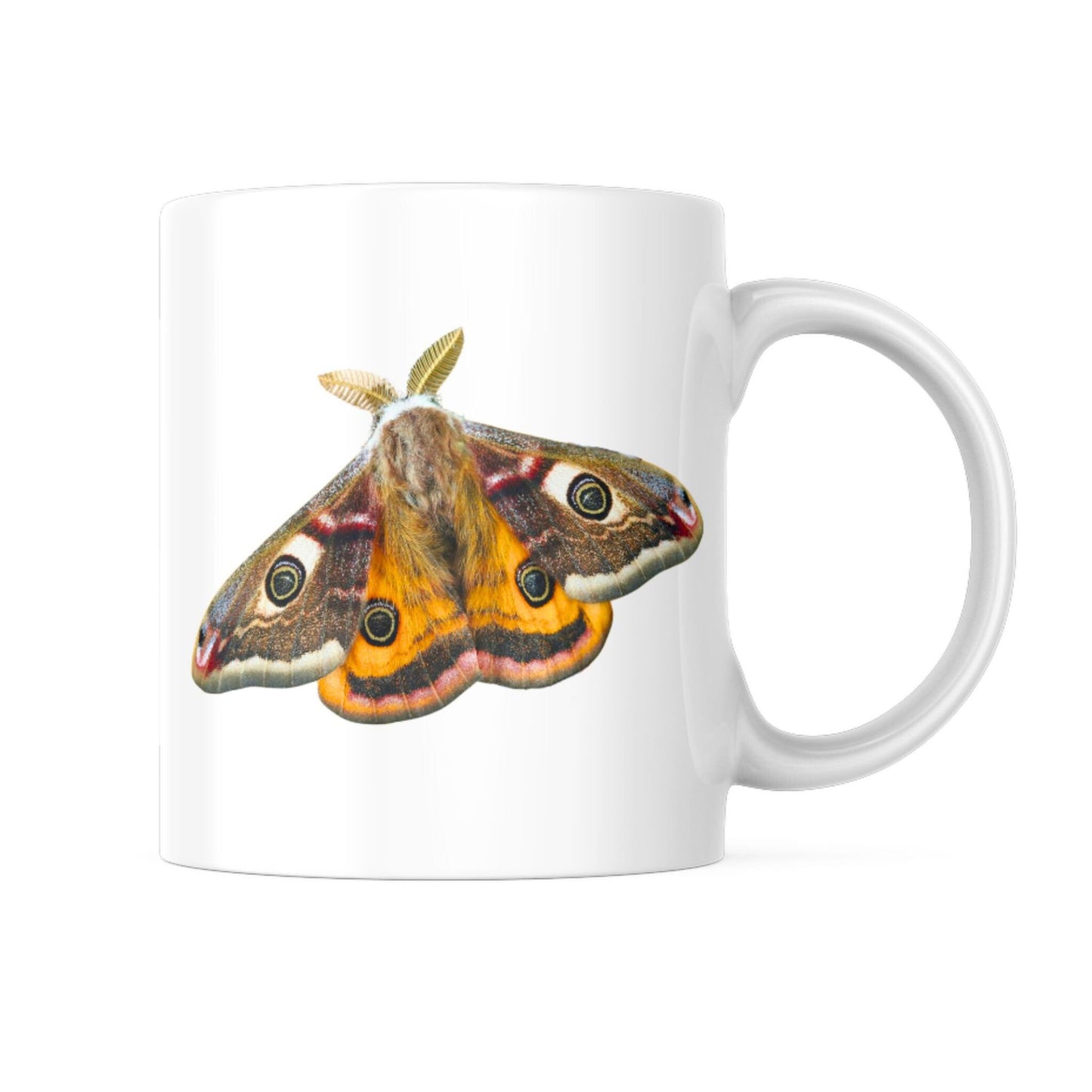 EntomoBoxes mariposa-themed taza de cerámica, regalo ideal para entomología y nature enthusiasts