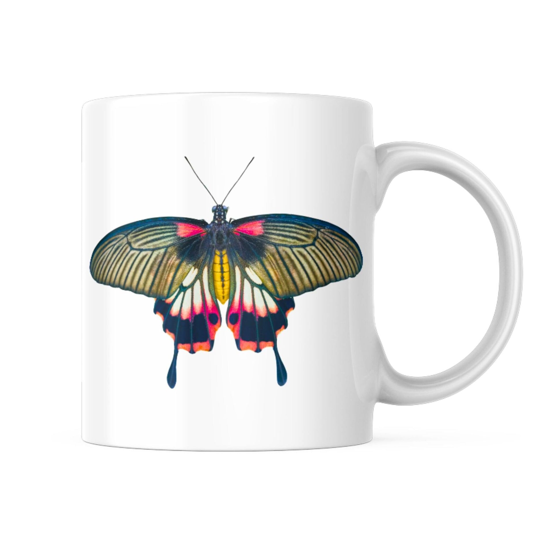 EntomoBoxes mariposa-themed taza de cerámica, regalo ideal para entomología y nature enthusiasts