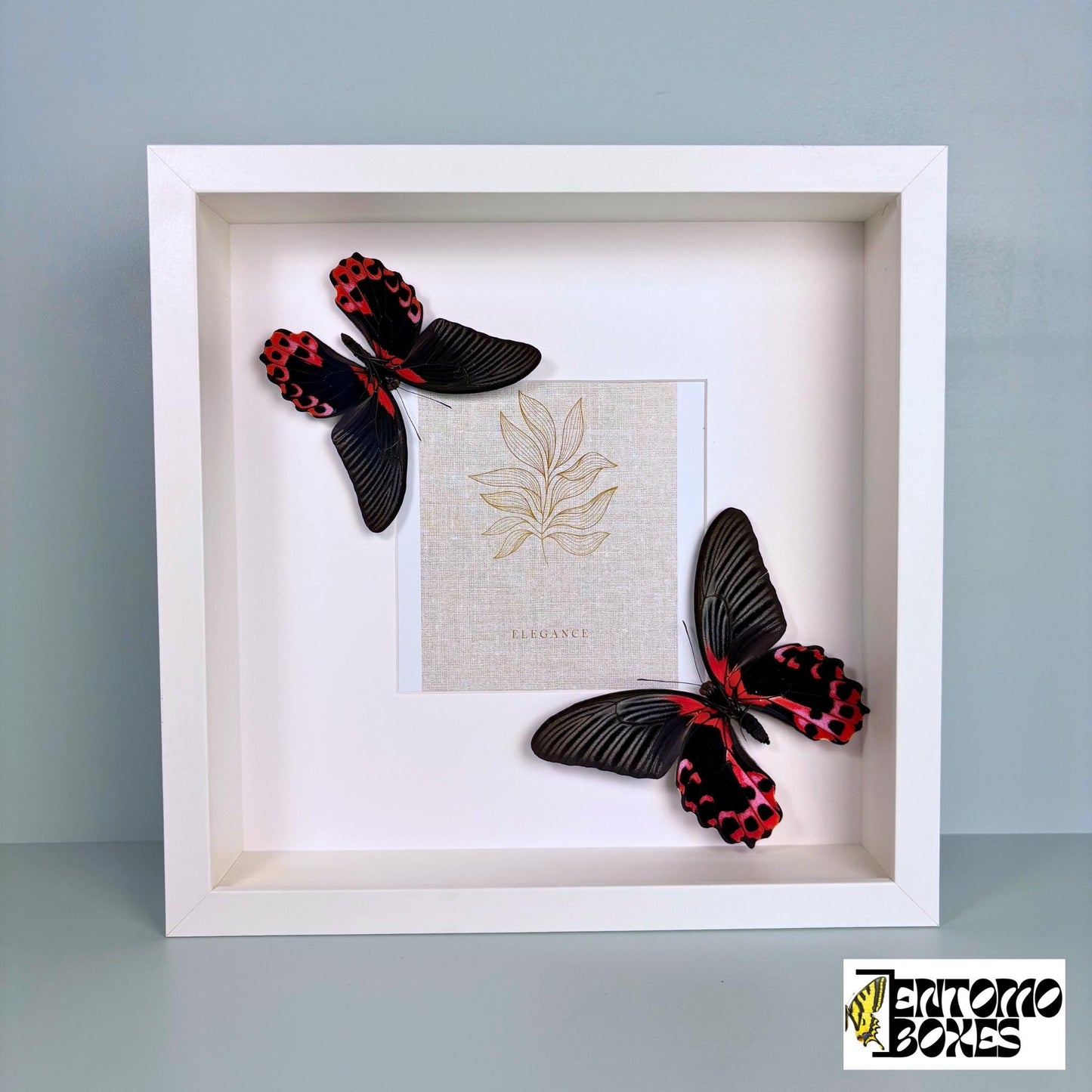 photo frame con mariposas