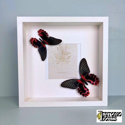 photo frame con mariposas