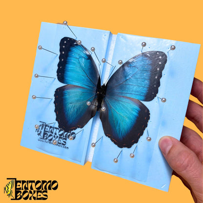 azul morpho mariposa sobre tablero de extensión