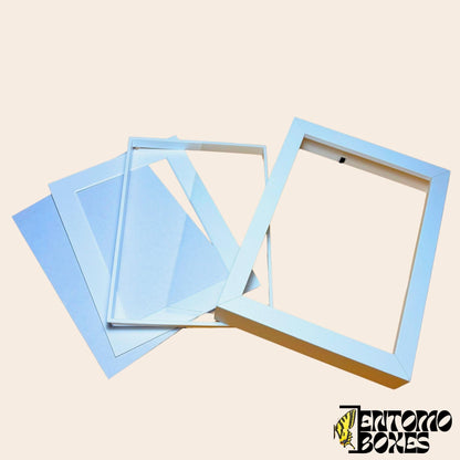 Wooden marco profundo para vitrina entomológica, artesanal por EntomoBoxes para mariposa espécimenes