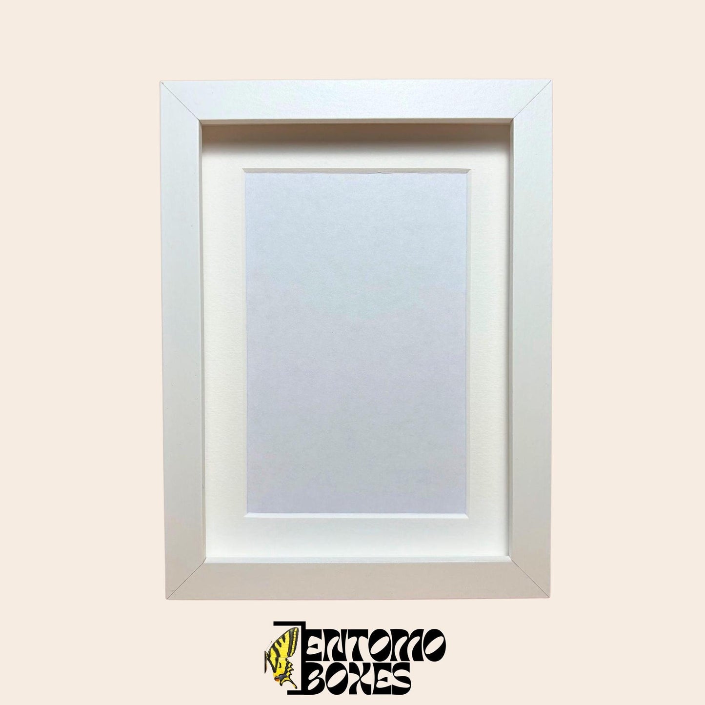 DEEP shadow boxes frames para insecto mariposas vitrina para entomología taxidermia