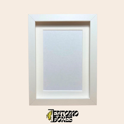 DEEP shadow boxes frames para insecto mariposas vitrina para entomología taxidermia