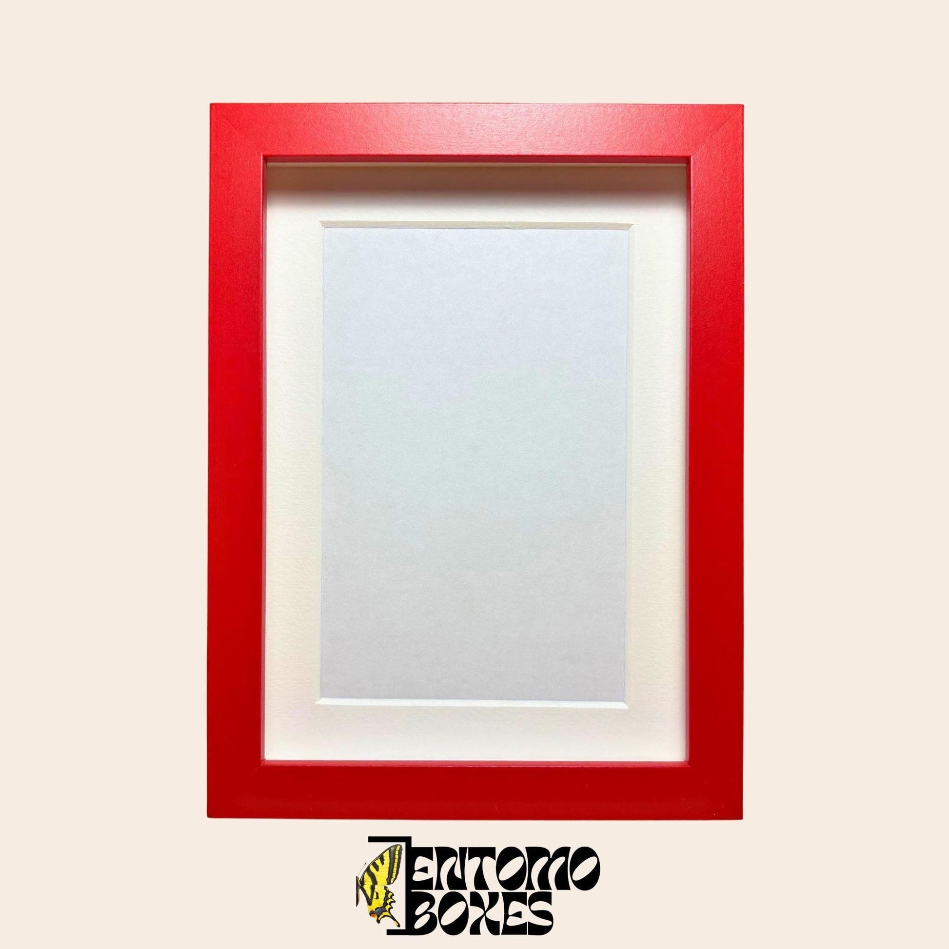 DEEP shadow boxes frames para insecto mariposas vitrina para entomología taxidermia