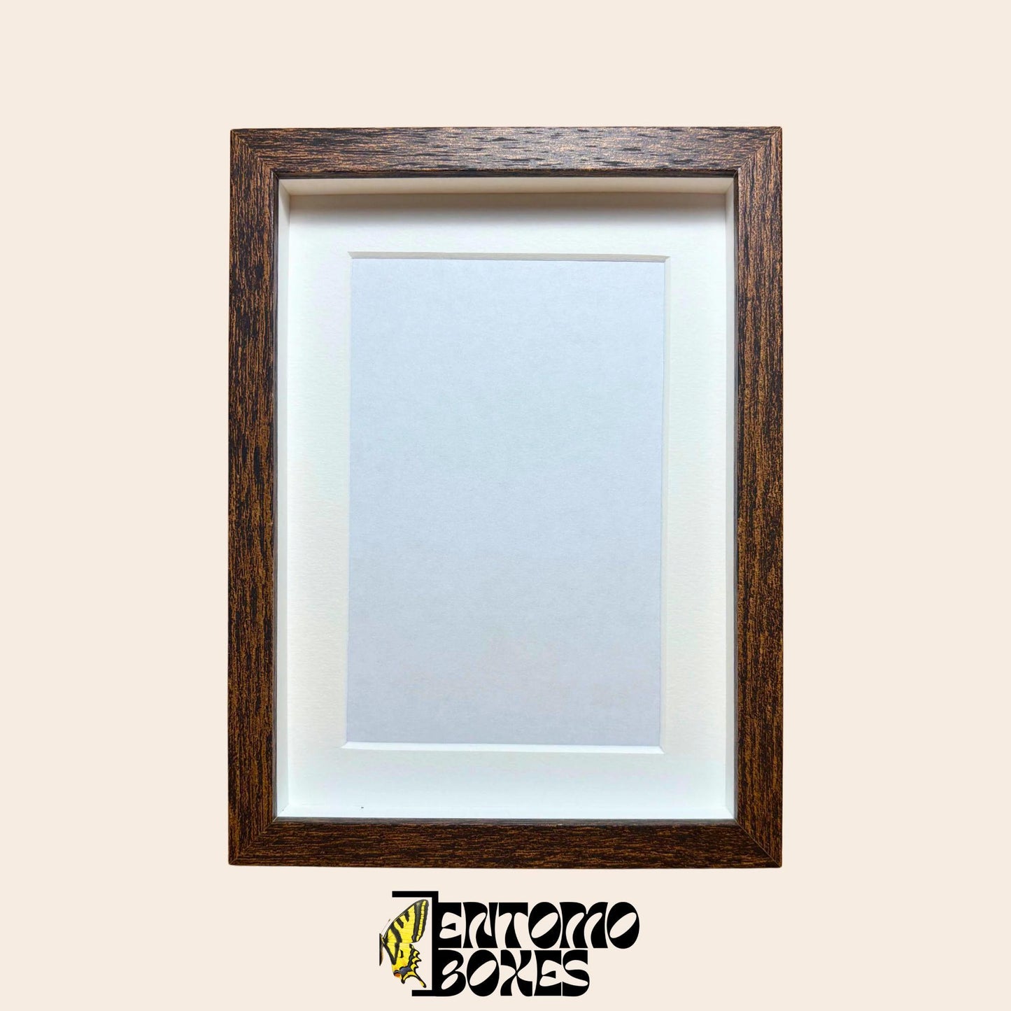 DEEP shadow boxes frames para insecto mariposas vitrina para entomología taxidermia