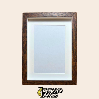 DEEP shadow boxes frames para insecto mariposas vitrina para entomología taxidermia
