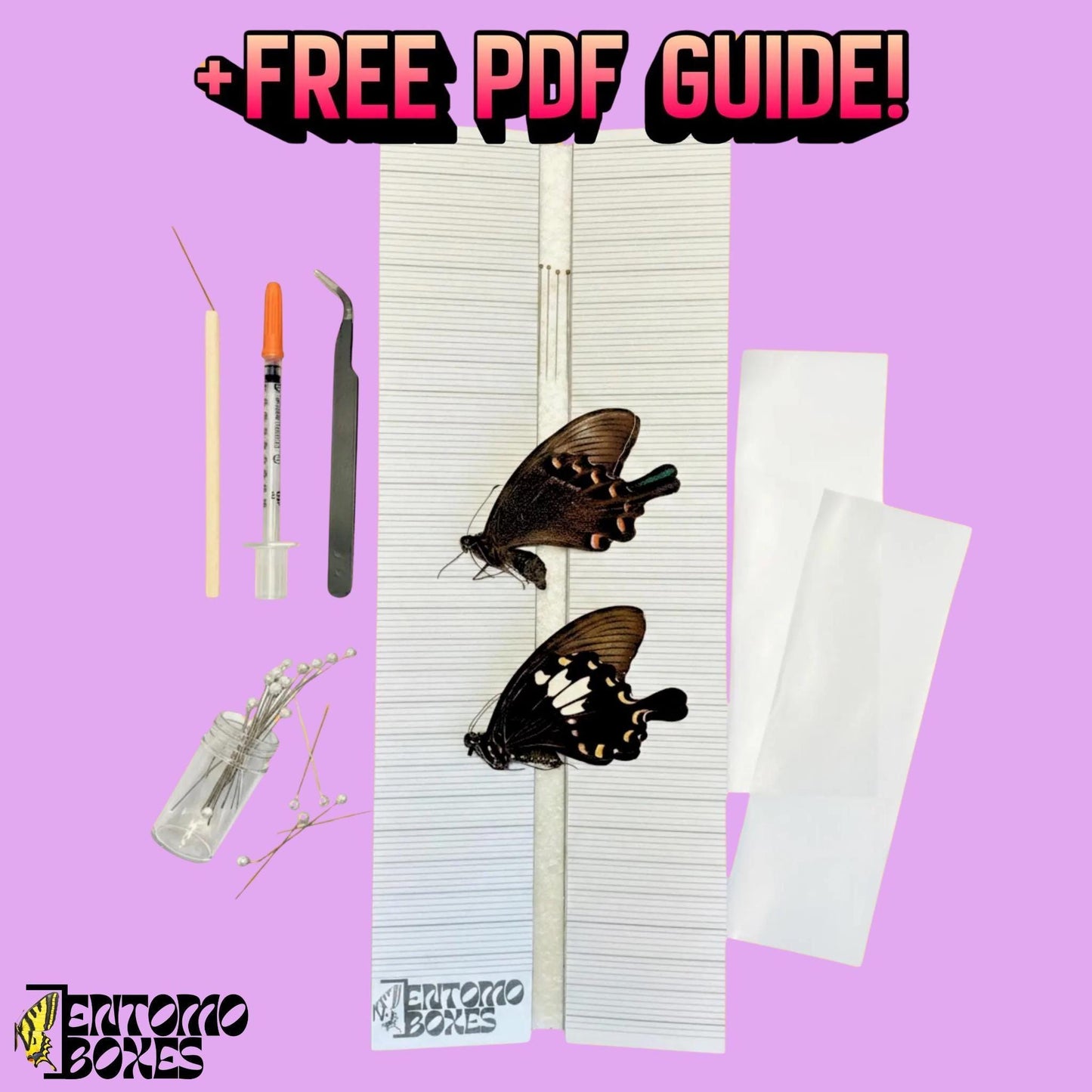 mariposa colección kit de iniciación con all you need