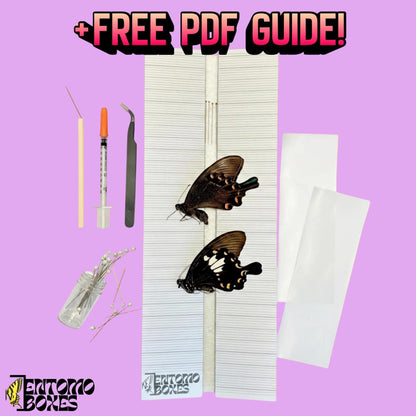 mariposa colección kit de iniciación con all you need