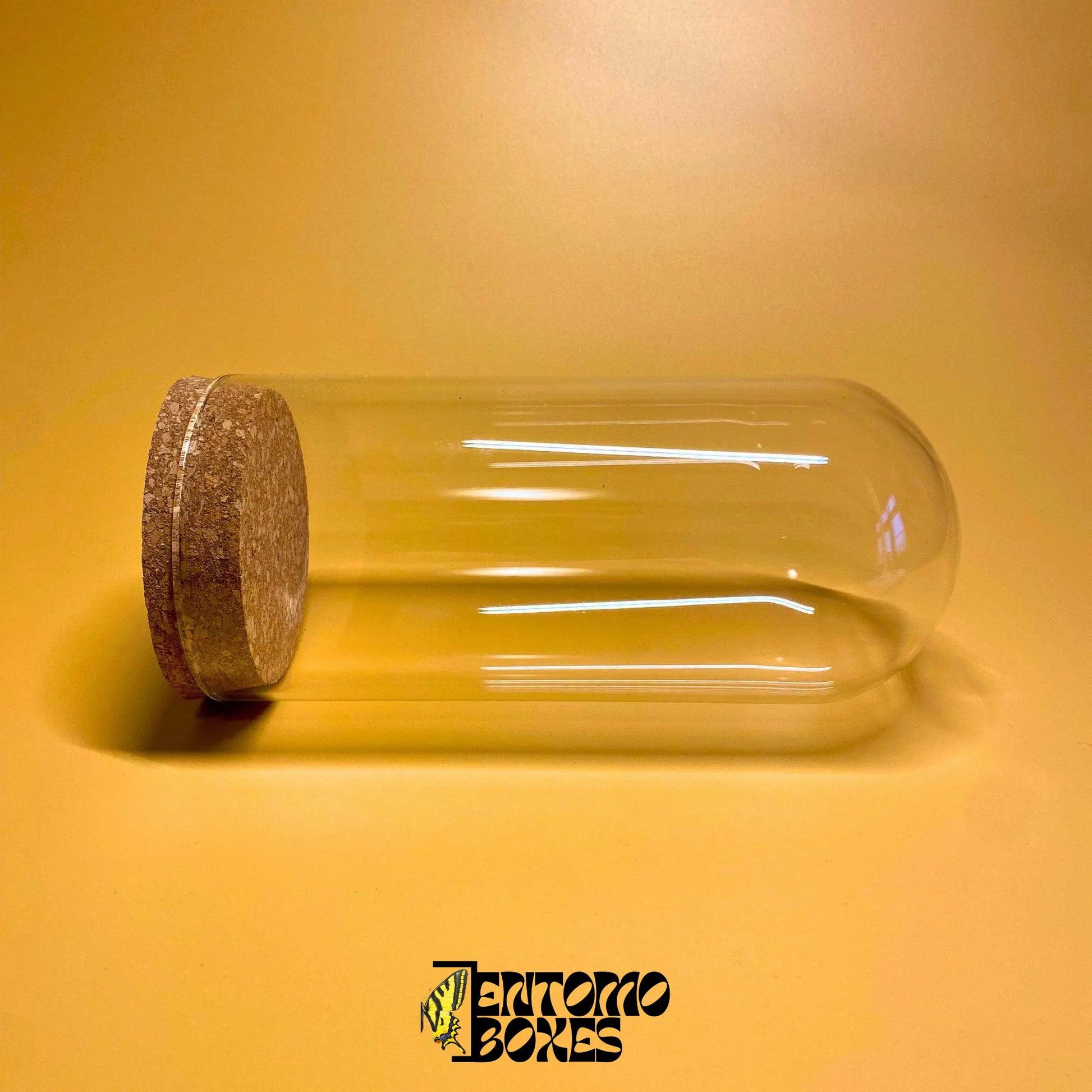 closed glass dome con corck lid
