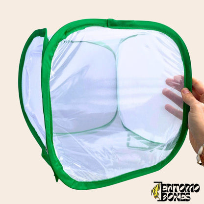 insecto breeding net cage