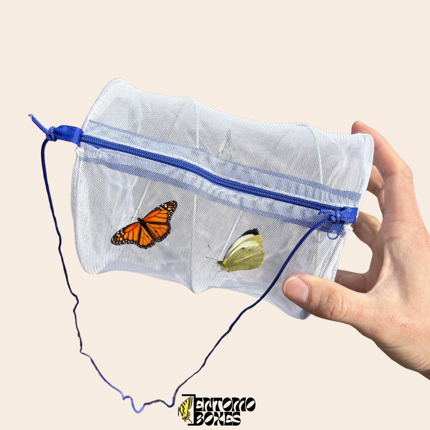 collapsible insecto field net cage