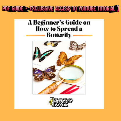 pdf butterfly pinning guide (etsy image id: 7921929392)