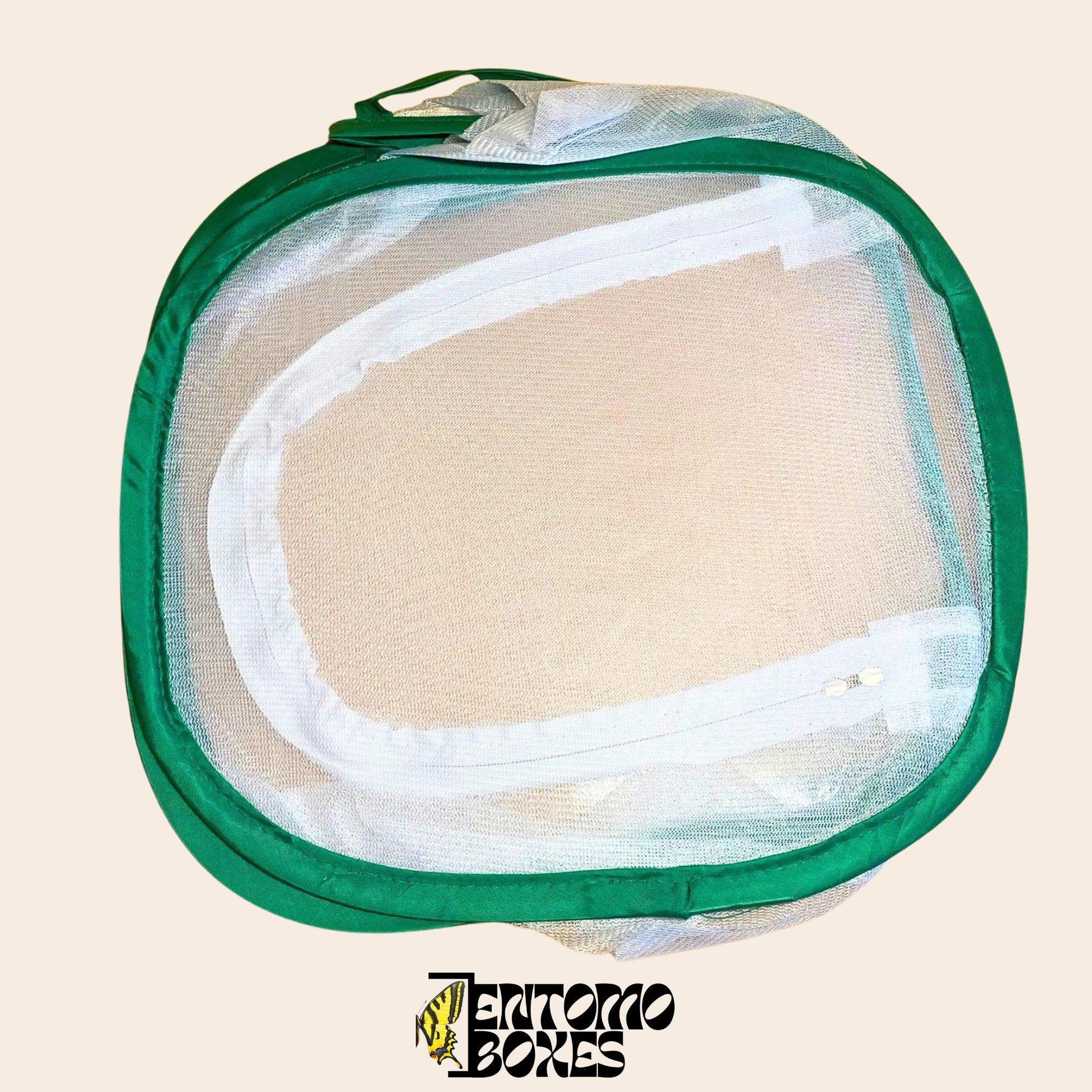 mariposa breeding net cage
