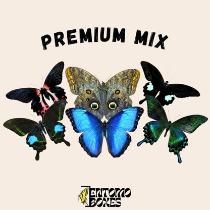 mix de tropical mariposas