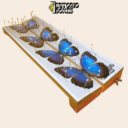 Tablero de montaje ajustable