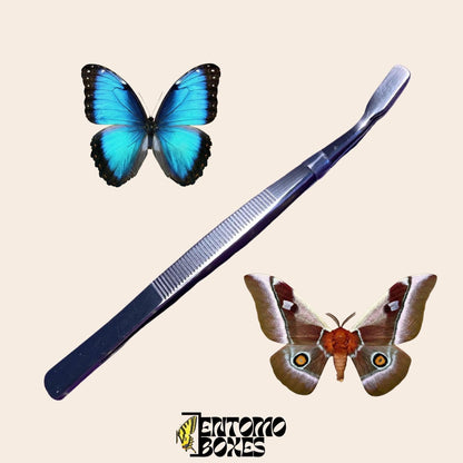 pinzas entomológicas de punta plana para pinning mariposas