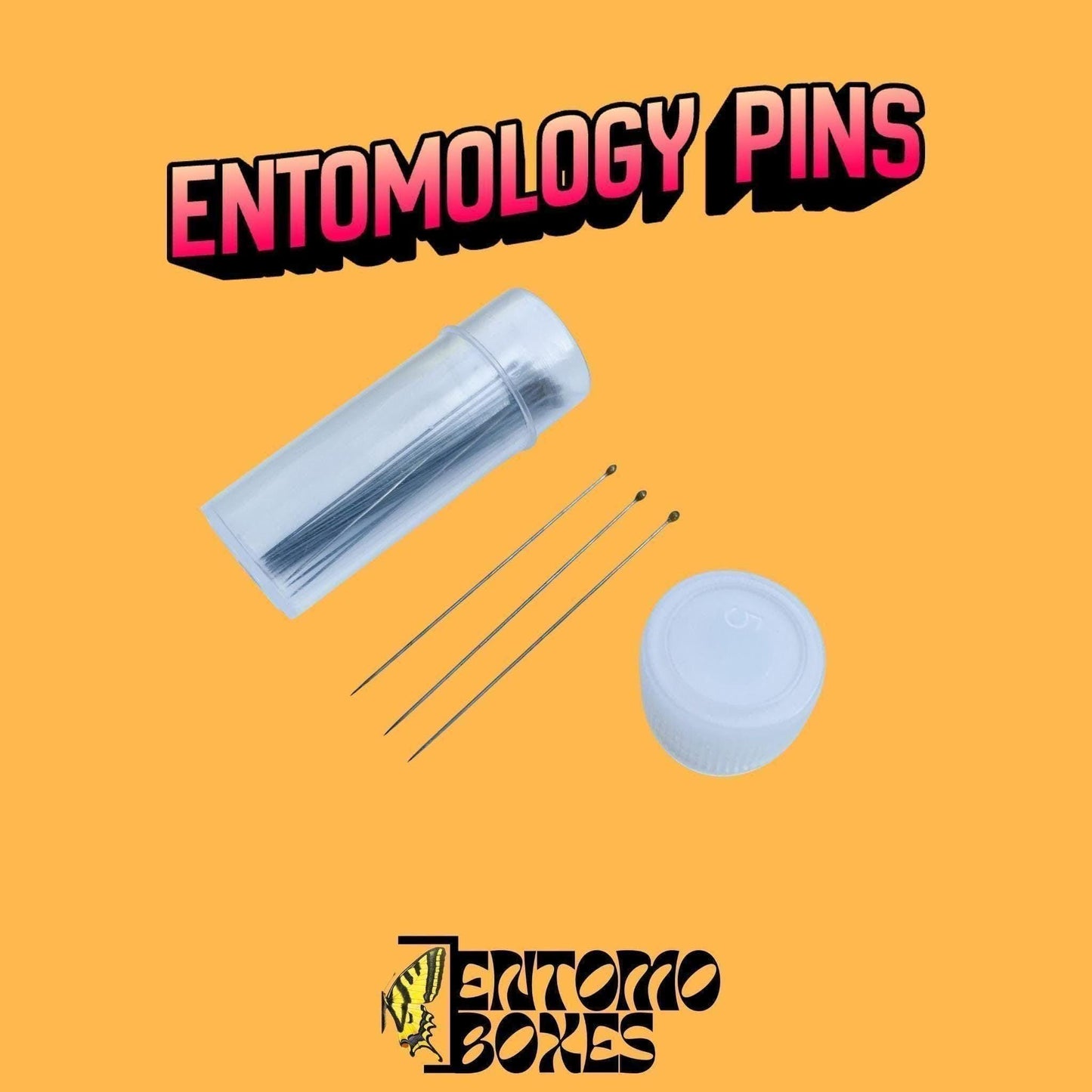 alfileres entomológicos de acero inoxidable para mounting mariposa y insecto espécimenes in colección entomológica