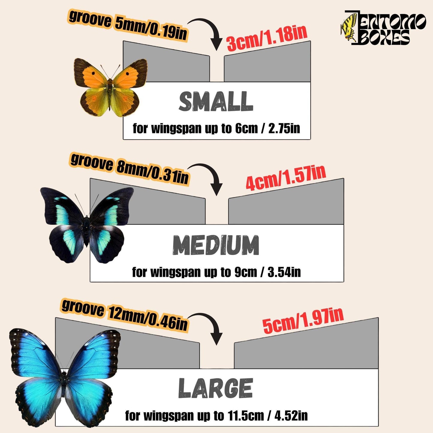 Angled insect Pinning Board for Butterflies Moths – Spreading, Mounting, Setting (etsy image id: 8031802989)