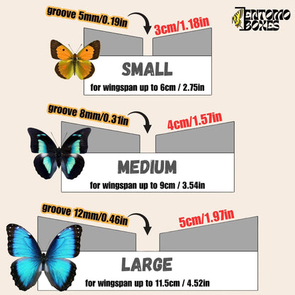 Angled insect Pinning Board for Butterflies Moths – Spreading, Mounting, Setting (etsy image id: 8031802989)
