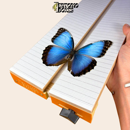 Tablero de montaje ajustable