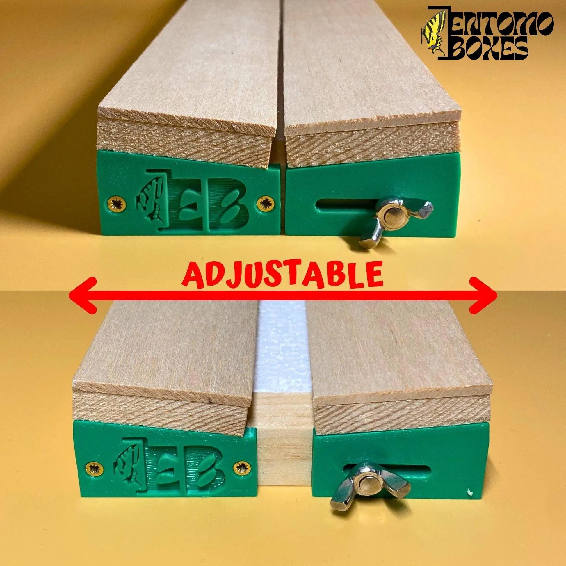 tablero de extensión para mariposas ajustable de EntomoBoxes