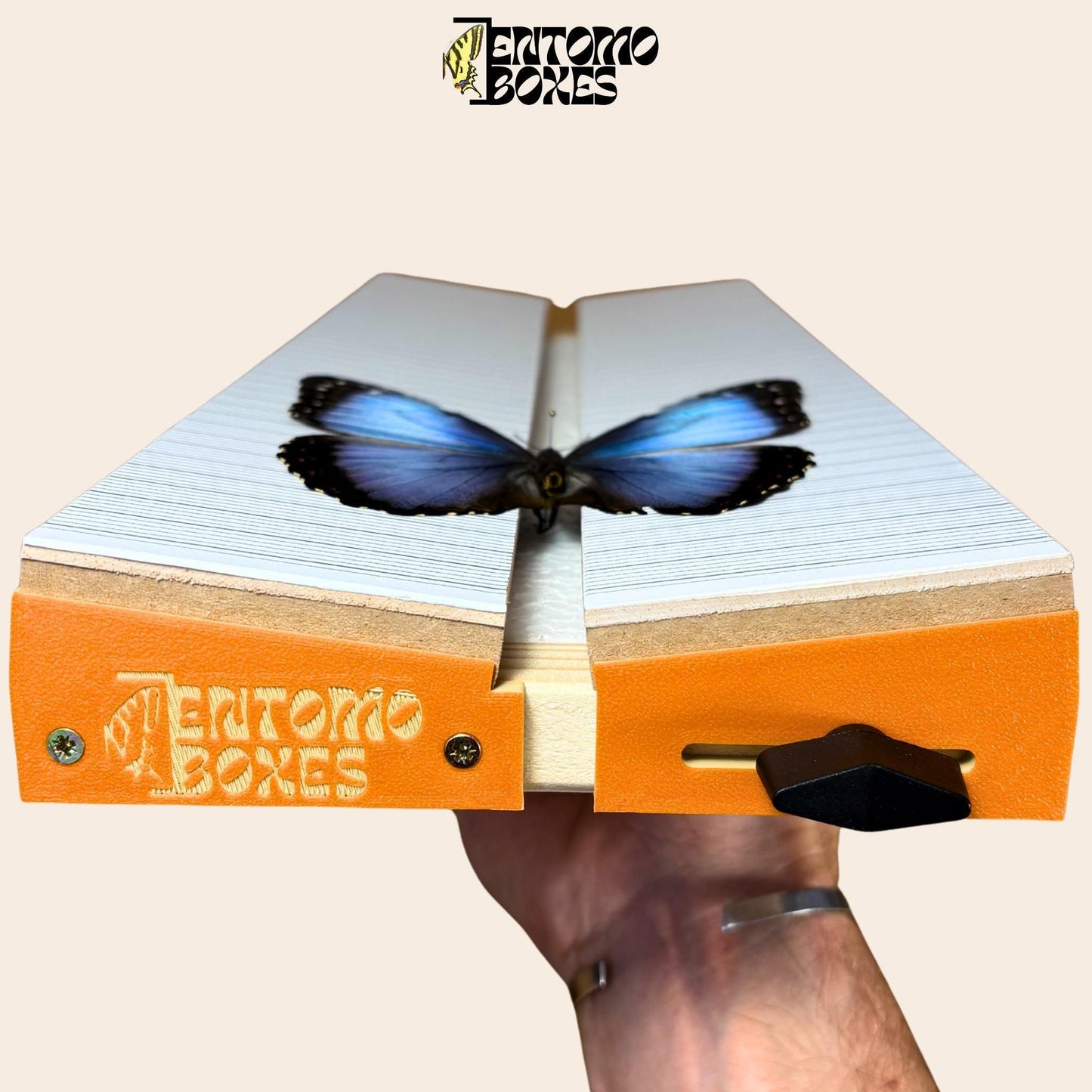 Tablero de montaje ajustable