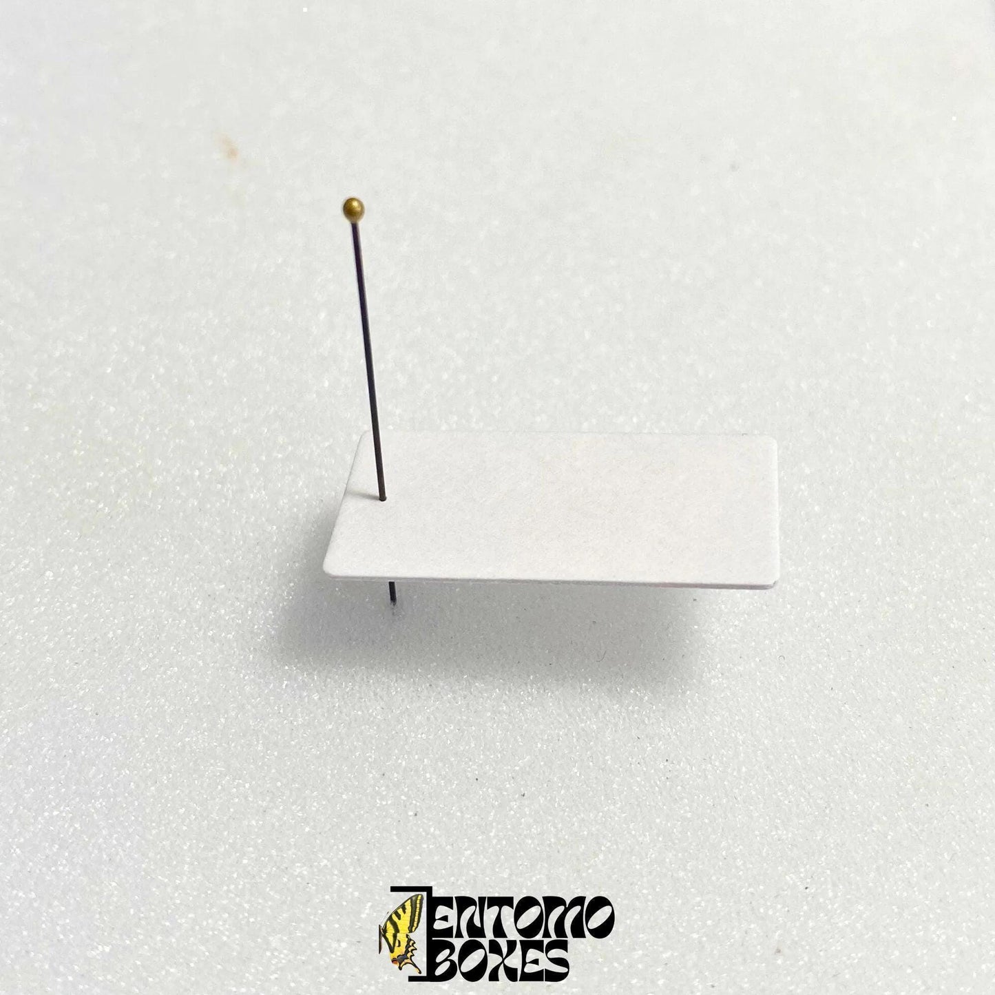 tarjeta de montaje entomológico