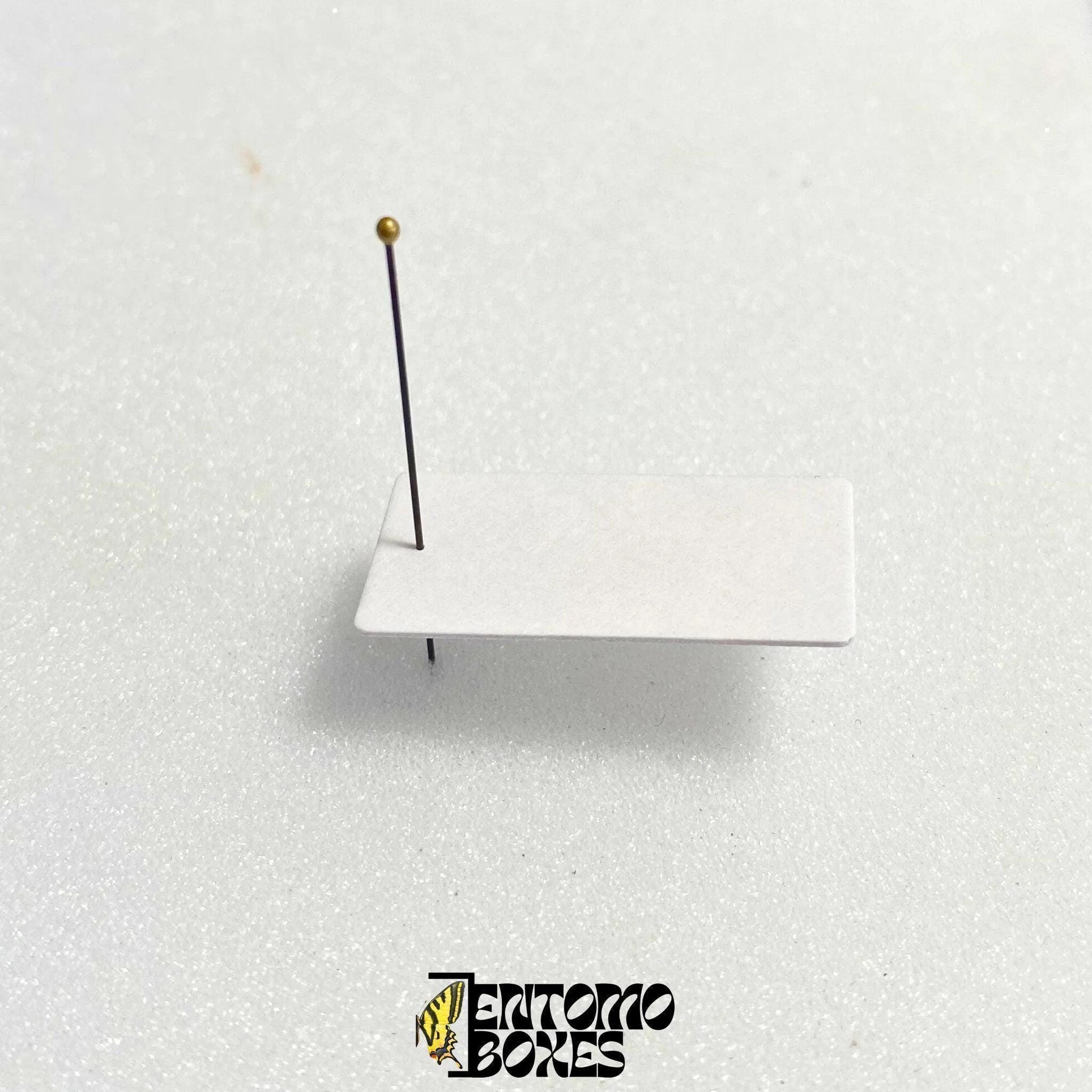 tarjeta de montaje entomológico