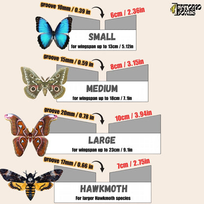 Large Angled Pinning Boards grid sticker Butterflies Moths insect taxidermy entomology (etsy image id: 8056429679)