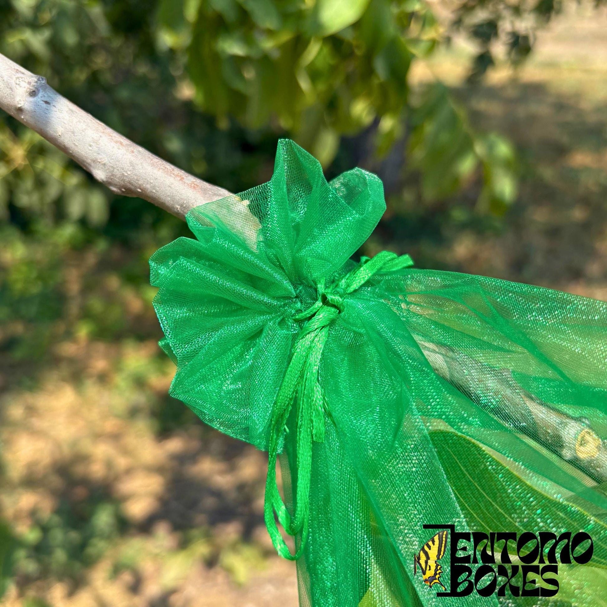 Close-up of the drawstring closure tied around a tree branch to secure the green mesh breeding bag.