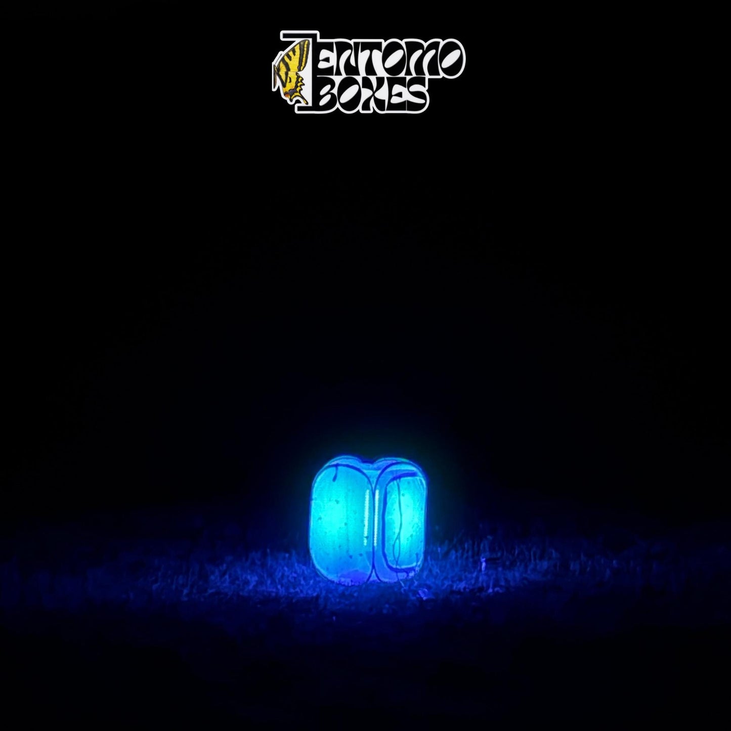 EntomoBoxes moth light trap as the only light source glowing blue in a dark field at night