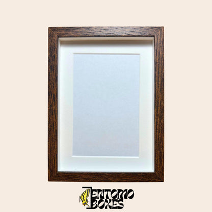 Dark wood shadow box frame for insect display, front view
