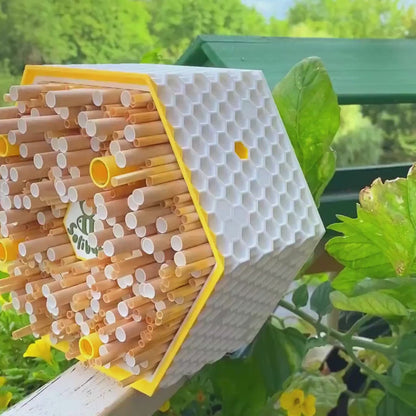 SoliBuzz Hotel de insectos