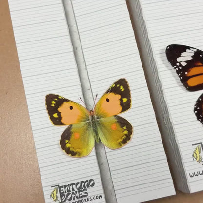 Tablero para alfileres estándar con pegatina de cuadrícula